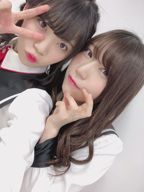 にゃんちょめ aimoha｜HOOK -original-/激カワ にゃんにゃんマフィア総柄