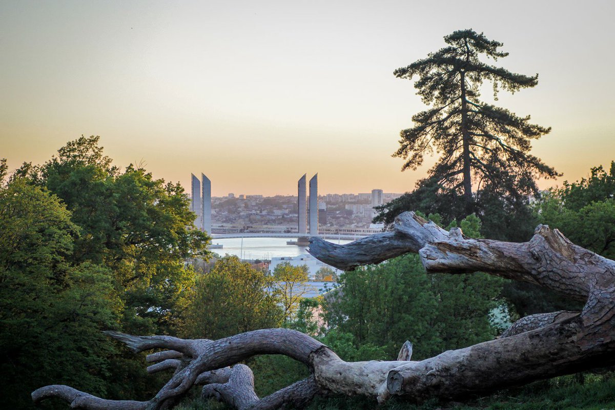 BordeauxTourism's tweet photo. C'est à la force de vos mollets que vous allez gagner les plus beaux panoramas sur #Bordeaux. A vos biclous 🚲👉 https://t.co/8pFTcCWdQS https://t.co/HdViT44DFX