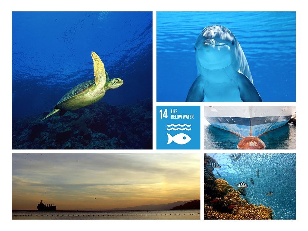 Today is #IntlBiodiversityDay IMO’s special measures to safeguard key sensitive maritime areas from ships help protect biodiversity: pssa.imo.org/#/video