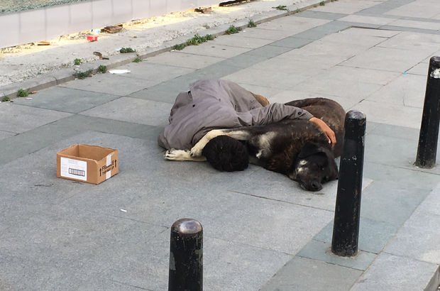 Benimde gördümlerimden ders çıkartmayan yöneticiler var bu ülkede..Yöneticileri görüpte ders çıkartmayan vatandaşlar gibi..Oyuna,eğitimine,devletine,insanına sahip çık !