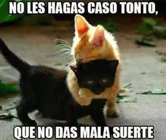 memogarzaa's tweet photo. Buenos dias mi gente!!! 😁
#NuncaDejesDeSonreir #EnPeligroDeExtincion https://t.co/nuqS8xPnSa