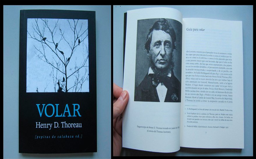 Decía Henry D. Thoreau que siempre hay algo nuevo en los cielos. Por eso le gustaba ver aves durante sus paseos. Una reseña de Juan Carlos de León:
goo.gl/b66efy