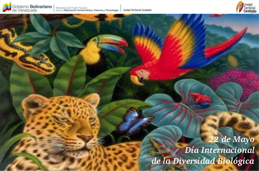 #Efemérides | #22May .<a href="/NicolasMaduro/">Nicolás Maduro</a>: "Venezuela es uno de los países con mayor biodiversidad del planeta. En  el Día Internacional de la Diversidad Biológica reafirmamos nuestro  compromiso para resguardarla y protegerla."
<a href="/hugbelpsuv/">Hugbel Roa</a> @Mppeuct <a href="/UTCDany/">UTCDany</a> @UTCYeymi <a href="/utcanamoreno/">Ana Moreno</a>