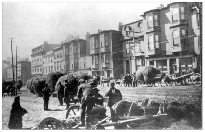 old_stjohns's tweet photo. Haymarket Square, Duckworth Street, showing hay wagons, probably late 1890s or early 1900s. https://t.co/MIc9u6gSS0