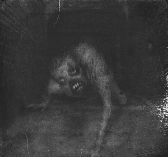 OddNMacabre's tweet photo. you hear a noise in your closet and when you open it you see this crawling up through the floor - what would you do? https://t.co/aAIX2CkFAp