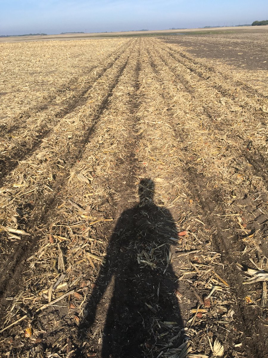 letsgofarmin's tweet image. #plot18 continues on, good thing the @letsgofarmin students equipped the @precisionplant planter with #cleansweep 
#letsgofarmin