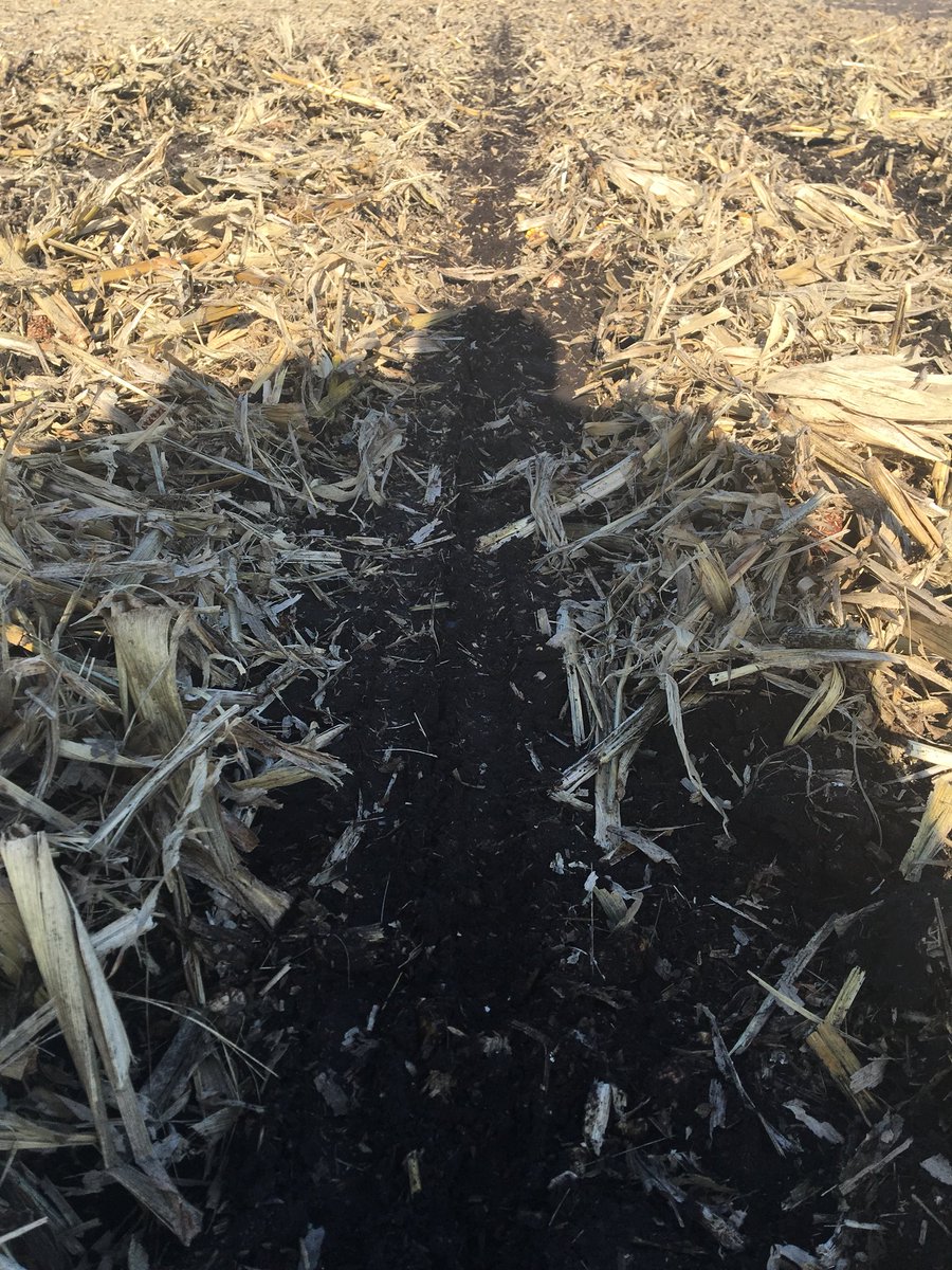 letsgofarmin's tweet image. #plot18 continues on, good thing the @letsgofarmin students equipped the @precisionplant planter with #cleansweep 
#letsgofarmin