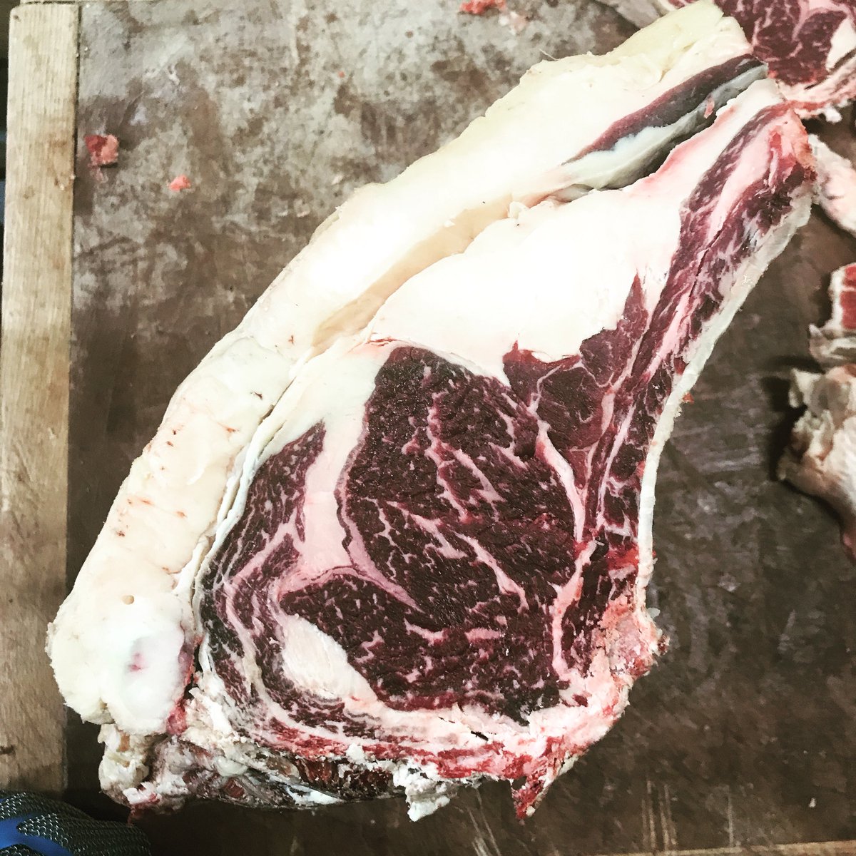 Nathan & Ruth tweet media