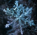 Hydrogen tweet media