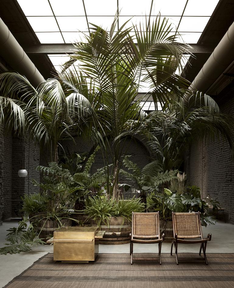 Rachel_Usher's tweet photo. Plants are shaped by their environment... https://t.co/d351aXNWdX #anindoorjunglethatthrives #interiorexperience https://t.co/ni956gwd5u