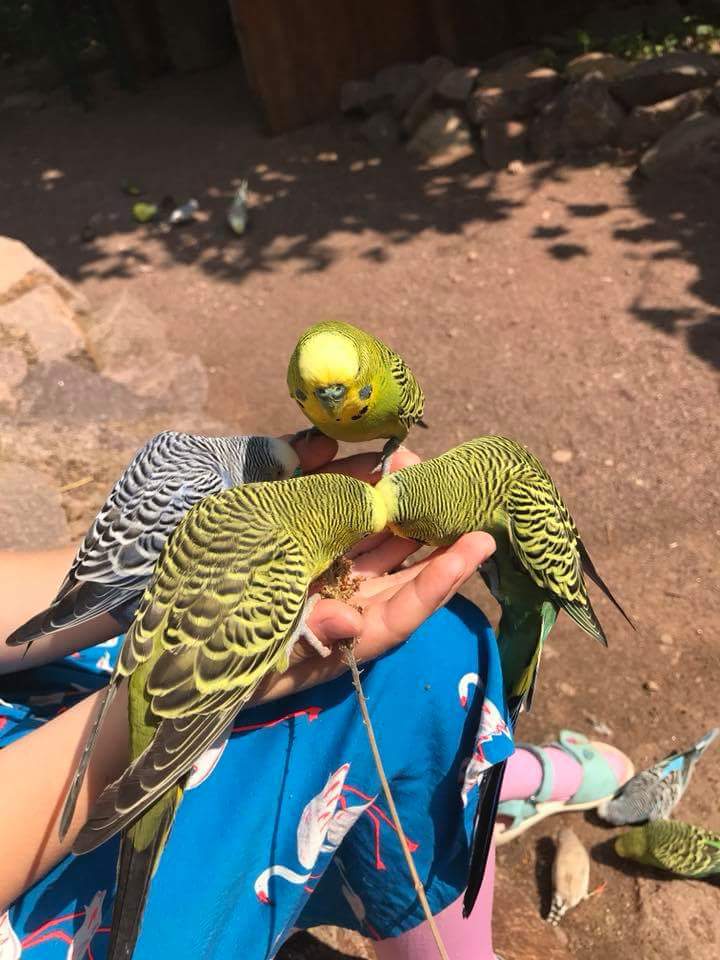 Immer wieder ein Erlebnis!