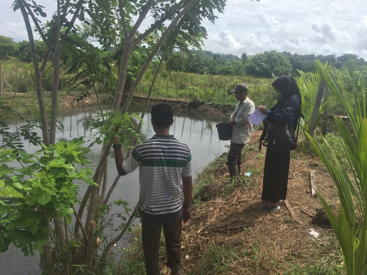 Sy Apid Tuti Handa tweet media