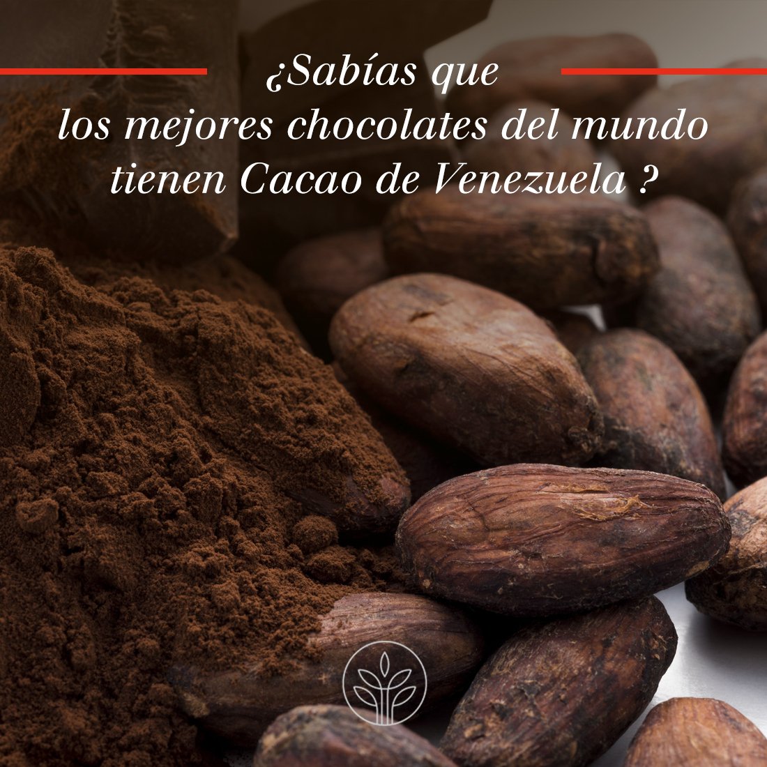 ESAICA1's tweet photo. Te invitamos a leer los empaques de tus chocolates favoritos, vas a descubrir que contienen cacao venezolano #Esaica #Cacao #vzla #chocolate #venta #exportacion #tropical #caribe #compra https://t.co/pxAU4jqmCV