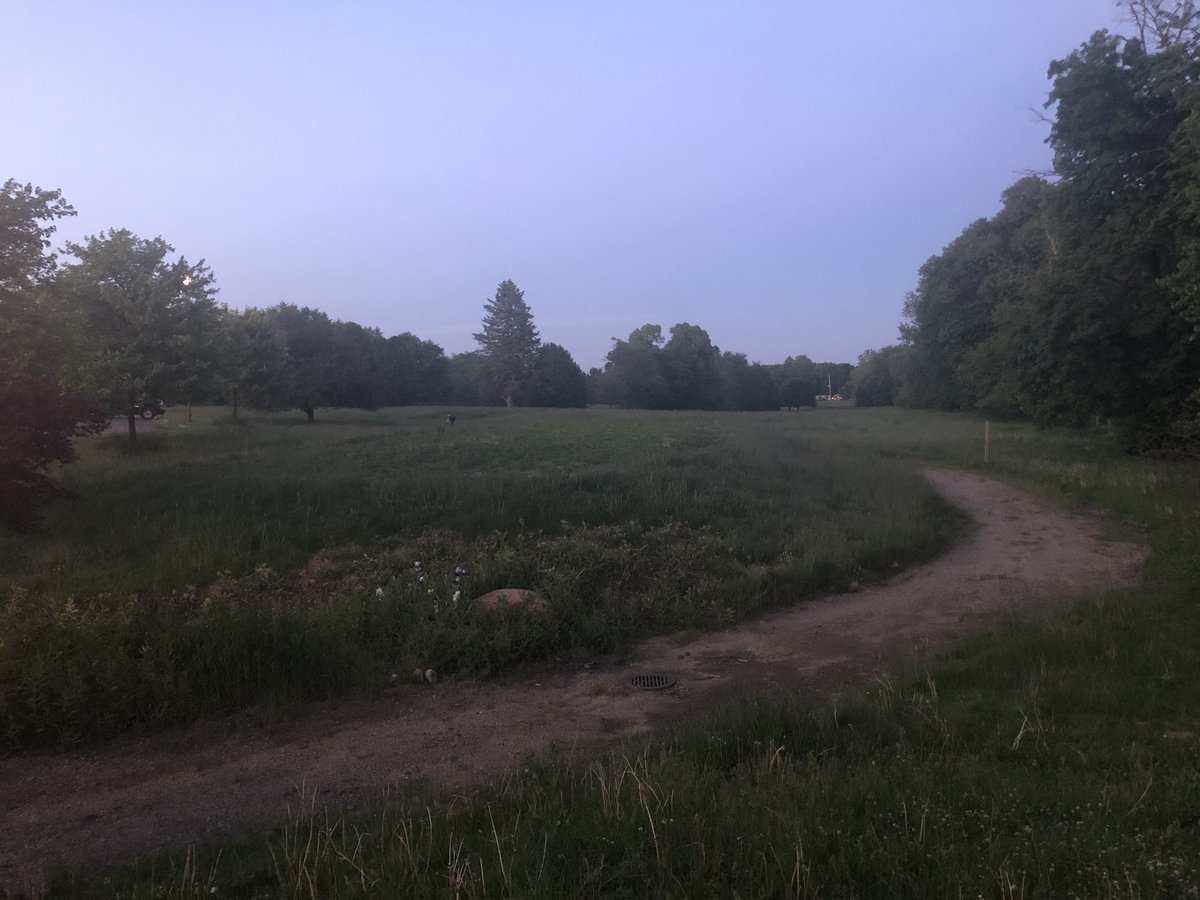 MikeLSaunders's tweet image. #PhotoMonitorLCWM