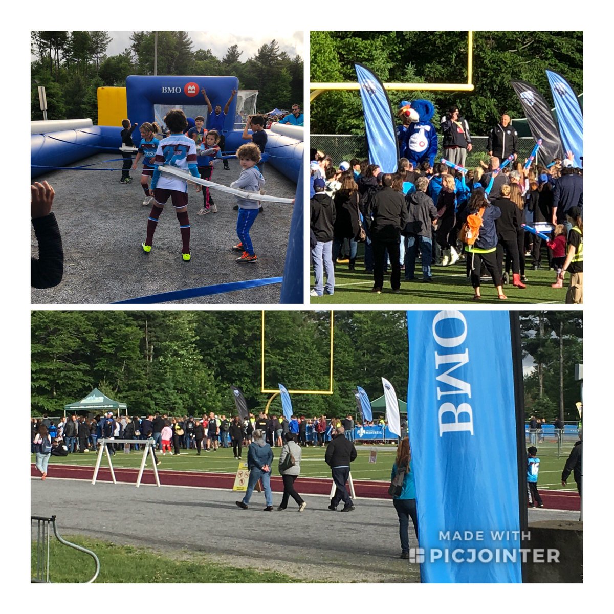 Sandy Di Tullio tweet media