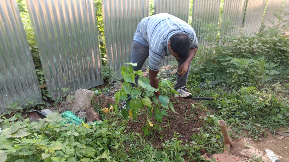 SaveBellandur(ಬೆಳ್ಳಂದೂರು ಉಳಿಸಿ) (@kdevforum) on Twitter photo As part of #GoGreen initiave on #WorldEnvironmentDay <a href="/kdevforum/">SaveBellandur(ಬೆಳ್ಳಂದೂರು ಉಳಿಸಿ)</a> volunteers started planting 200 trees & continue for fullweek. Big thanks to Ashok & volunteers of #kasavanahalli residents for driving.thz to #bbmp @bjparvind team for saplings supply <a href="/WFRising/">Whitefield Rising</a> <a href="/BellandurJothge/">BellandurJothege</a> As part of #GoGreen initiave on #WorldEnvironmentDay <a href="/kdevforum/">SaveBellandur(ಬೆಳ್ಳಂದೂರು ಉಳಿಸಿ)</a> volunteers started planting 200 trees & continue for fullweek. Big thanks to Ashok & volunteers of #kasavanahalli residents for driving.thz to #bbmp @bjparvind team for saplings supply <a href="/WFRising/">Whitefield Rising</a> <a href="/BellandurJothge/">BellandurJothege</a>