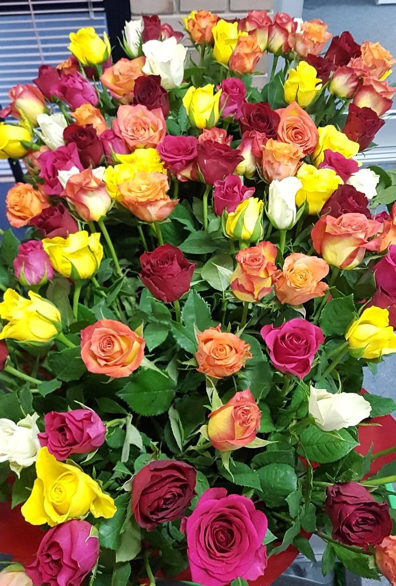 🌹🌹THANK YOU 🌹🌹
We are very grateful to #NatiRoses who have been supporting the Westmead Memorial Services since it began in 2011, through their in-kind donation of beautiful roses 🌹
#MemorialService 💙 #WestmeadHospital  💚