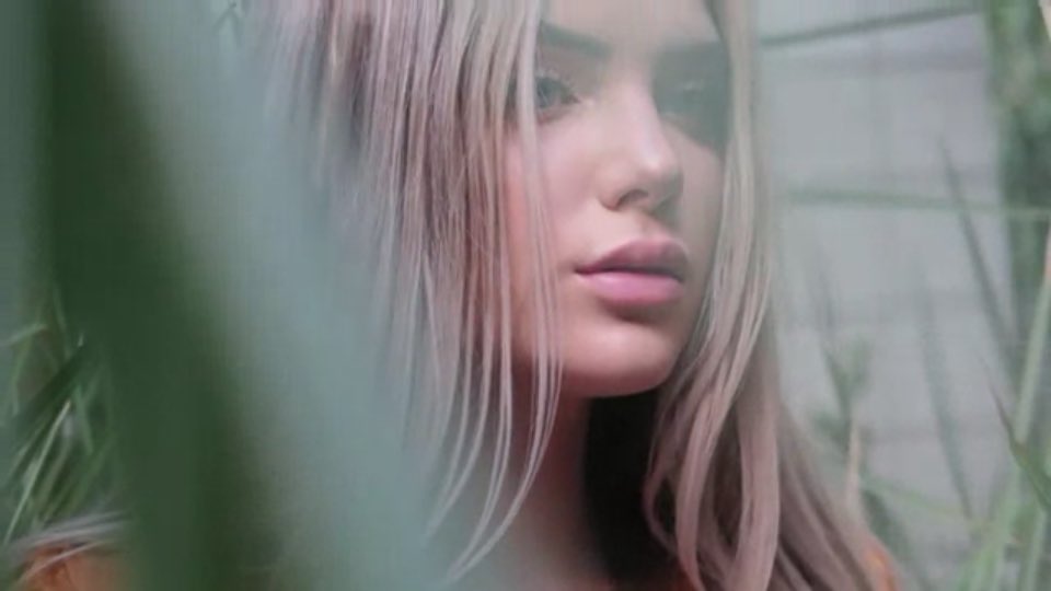 #openfollow for western rps only! if you see this tweet then please rt 🦋