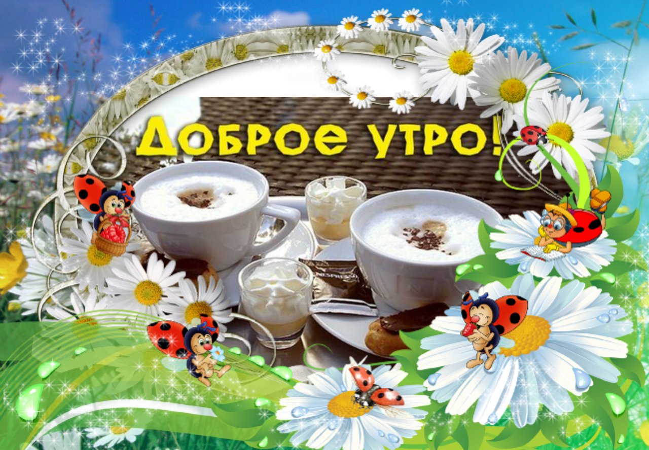 Всем доброе утро картинка, утра