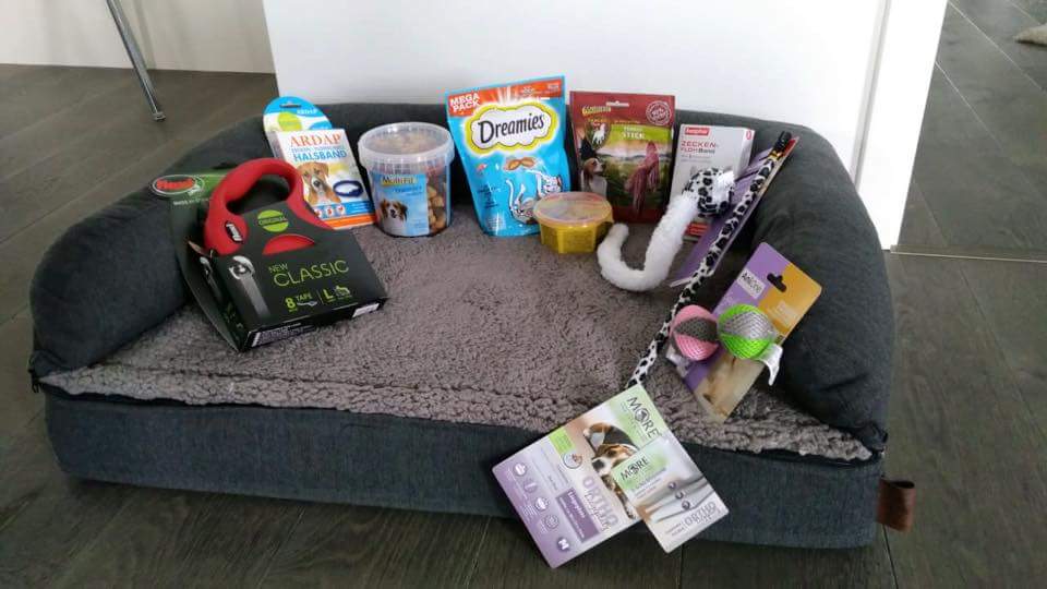 Projekt200P's tweet photo. WAU!  Ein gespendetes Hundebett für gelenkschmerzen-geplagte Hunde-Opis, Leckerlis und Spielsachen 🙏🏼❤️
ÜBRIGENS➡️ Wenn ihr auch #spenden wollt, so könnt ihr das u.a. hier tun: #Doggiepack #Hundefutter-Manufaktur, Rhönstrasse, #Nidda🐕🐩🐕🐩
Mehr: https://t.co/fYImrWpCYF https://t.co/RfAoF68mg2