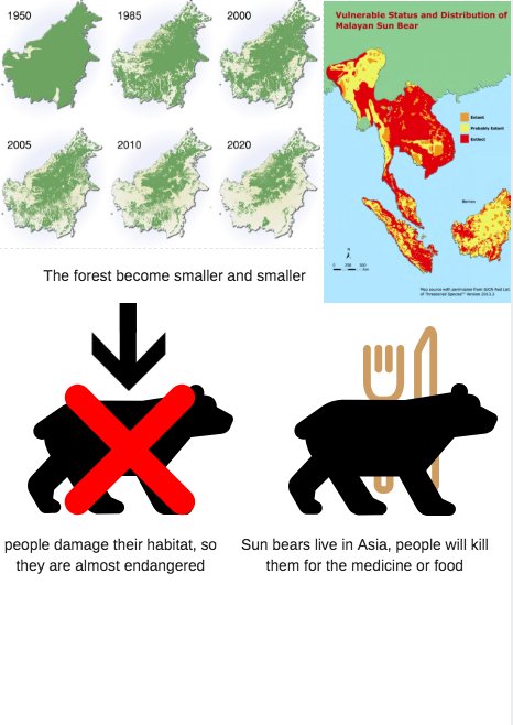 artou23's tweet photo. #kasendangered
Sun bears are almost endangered, because people are hunting them.
SO WE NEED TO STOP KILLING THEM
@wendyweng7 https://t.co/5lrs50eQiL
