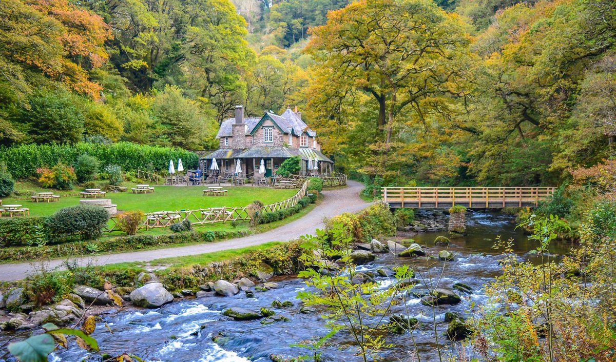 GreatDevonDays's tweet image. It's #devonday let's celebrate every nook, cranny and hidden gem! Where are your favourite spots in #devon?