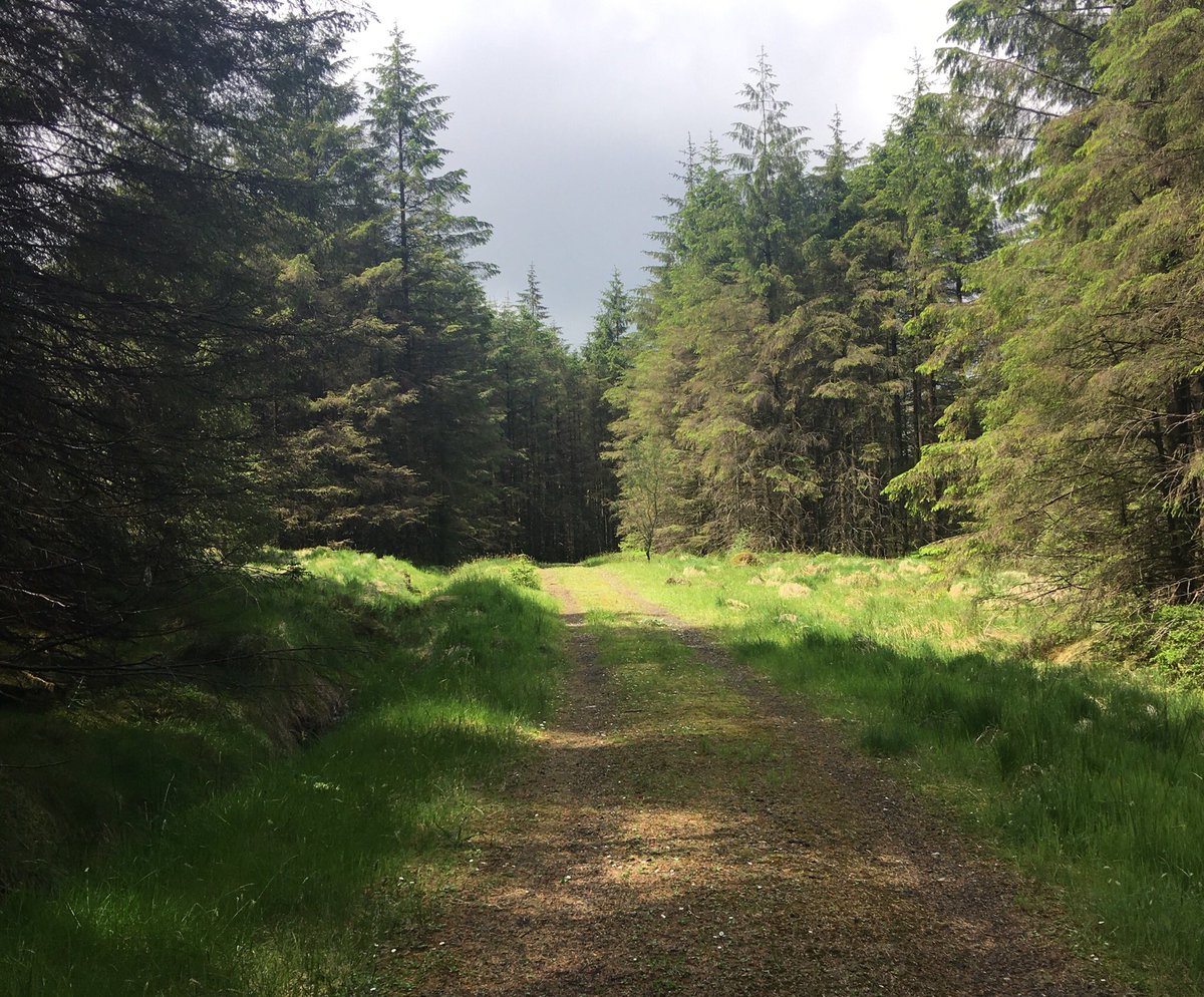 francesmcveigh's tweet photo. Fantastic day going completely off grid, well off this beaten track and ‘getting lost’ in nature and the glorious sunshine. #ILoveMaps Nature and time heal most things, but sadly not my roof. Now back to reality.☀️💚😎👍🏡 #nihillwalker #ILoveWalking https://t.co/nsefxEcd4Z