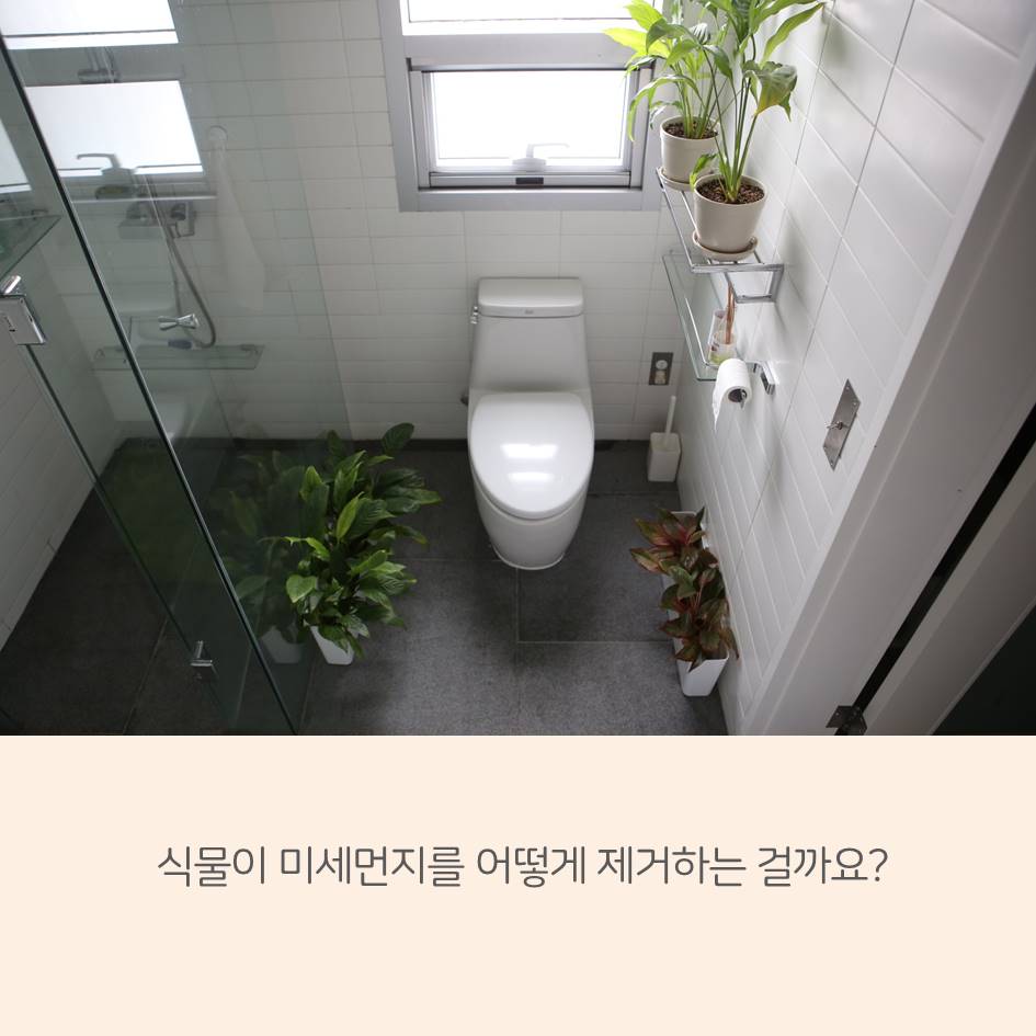 jolzzo's tweet photo. 최근 내 선배가 반려식물 200그루로 실내 미세먼지 농도 5까지 떨어뜨린 사람 책을 냈는데 이거 보고 뽐뿌받아 화분도 사고 흙도 삼. 공기는 언제 좋아질지 모르지만 일단 초록색이 많이 보이니 기분은 상쾌하다. 아래는 선배를 스릉흐는 마음에서 무료 제작한 카드뉴스! https://t.co/wzbMJokR2S