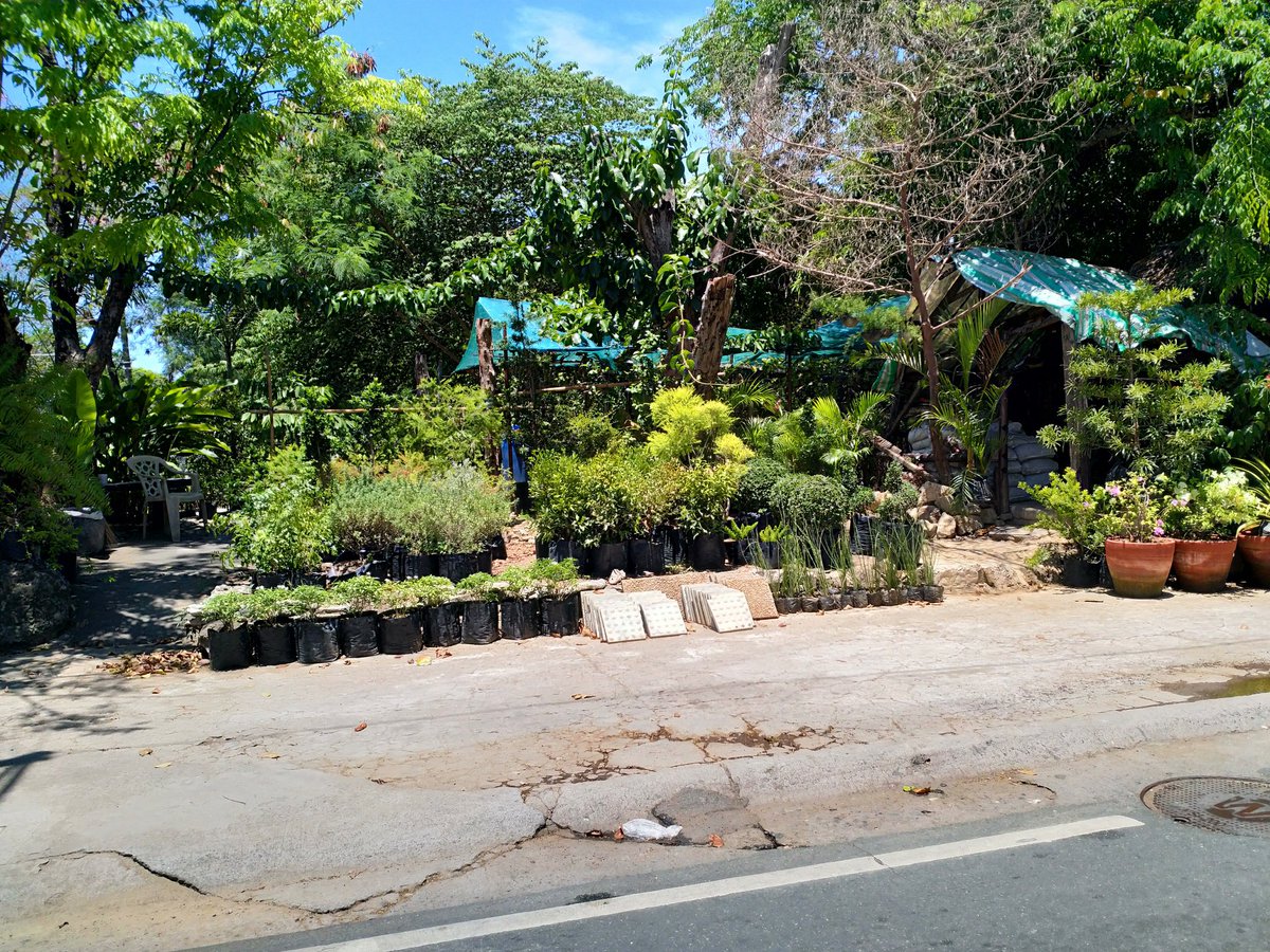 HavenorFantasy's tweet photo. BF Homes developer lawsuit versus 15 Garden Row businesses is ongoing at Parañaque Metropolitan Trial Court. No truth to rumor about "settlement". For background info visit https://t.co/ScqEQZr2G9 #BFHomes #Parañaque #LasPiñas #law #GardenRow #Alabang @SouthSnippets https://t.co/RffjuIE89E
