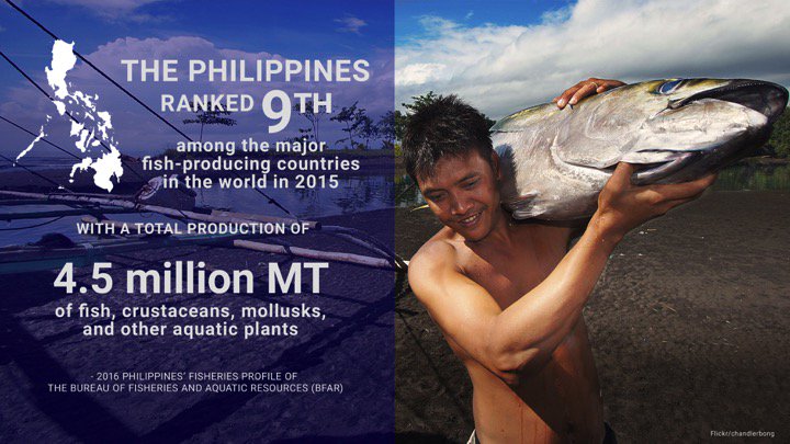 loren_legarda's tweet image. The Philippines ranked 9th among the major fish-producing countries in the world in 2015 with a total production of 4.5 million metric tons of fish, crustaceans, mollusks, and other aquatic plants. @APCRS2018 @DENROfficial #coralreefprotection