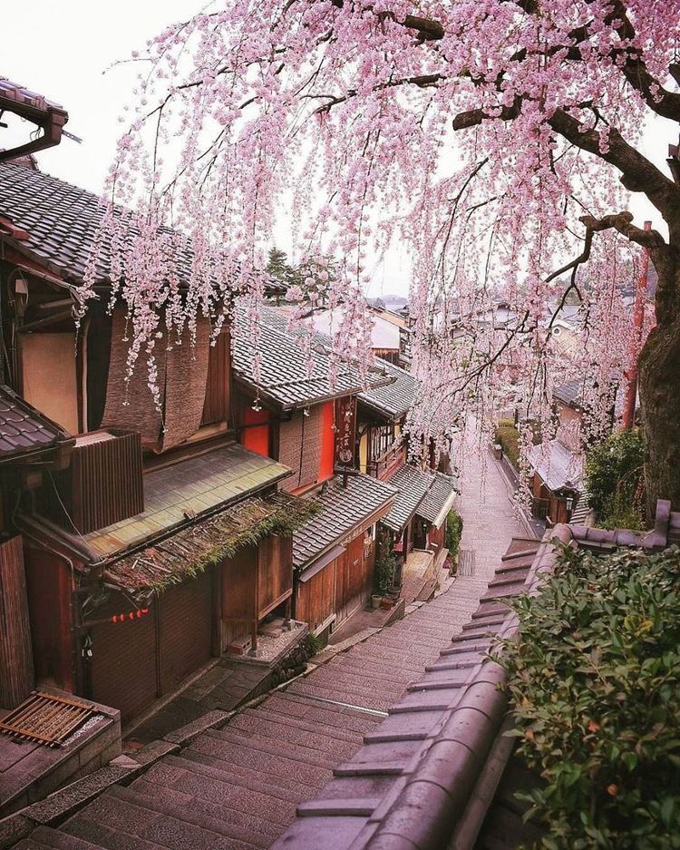 อายาคาชิ ⛩ tweet media