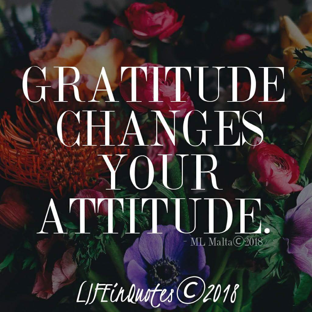 TheRealMLMalta's tweet photo. #quotes #quote #wisdom #life #faith #motivation #success #mlmalta #therealmlmalta https://t.co/O9KfGV3Pha