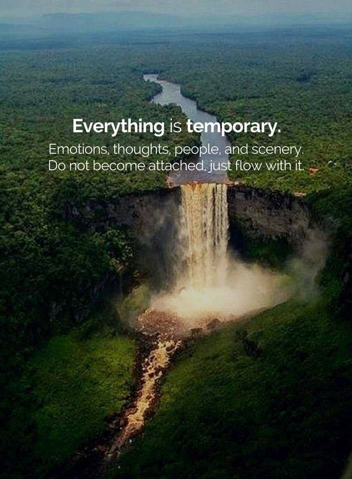 unovita1217021's tweet image. One Life...