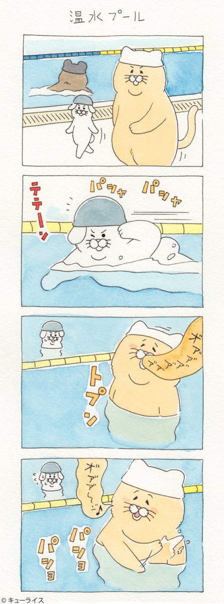 続く…。4コマ漫画ネコノヒー「温水プール」/heated indoor pool  