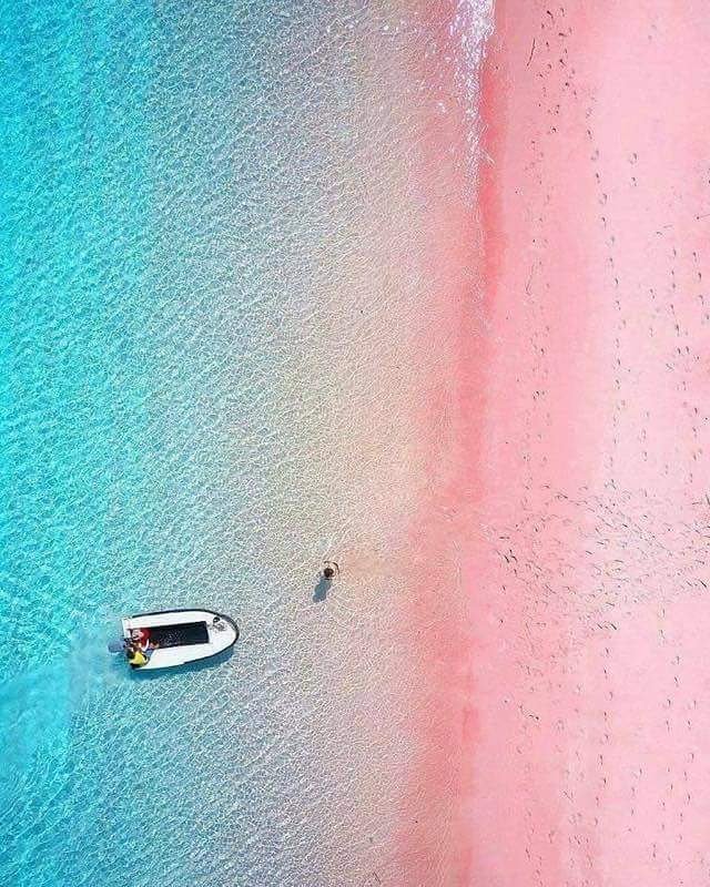 Sweetforbiddenjourn tweet media