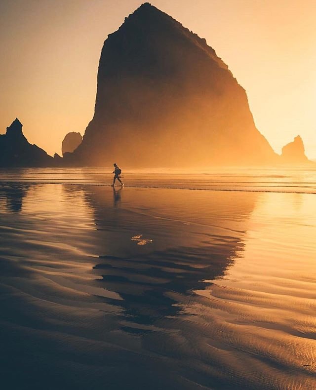 AgaveDenim's tweet photo. INSPIRATION FILES: Scenes from the Oregon Coast.
______________________________⠀
Tag #ThisIsAgave to share your stories!
______________________________
#📷 @ig_killerz https://t.co/EhrtYrzdmI