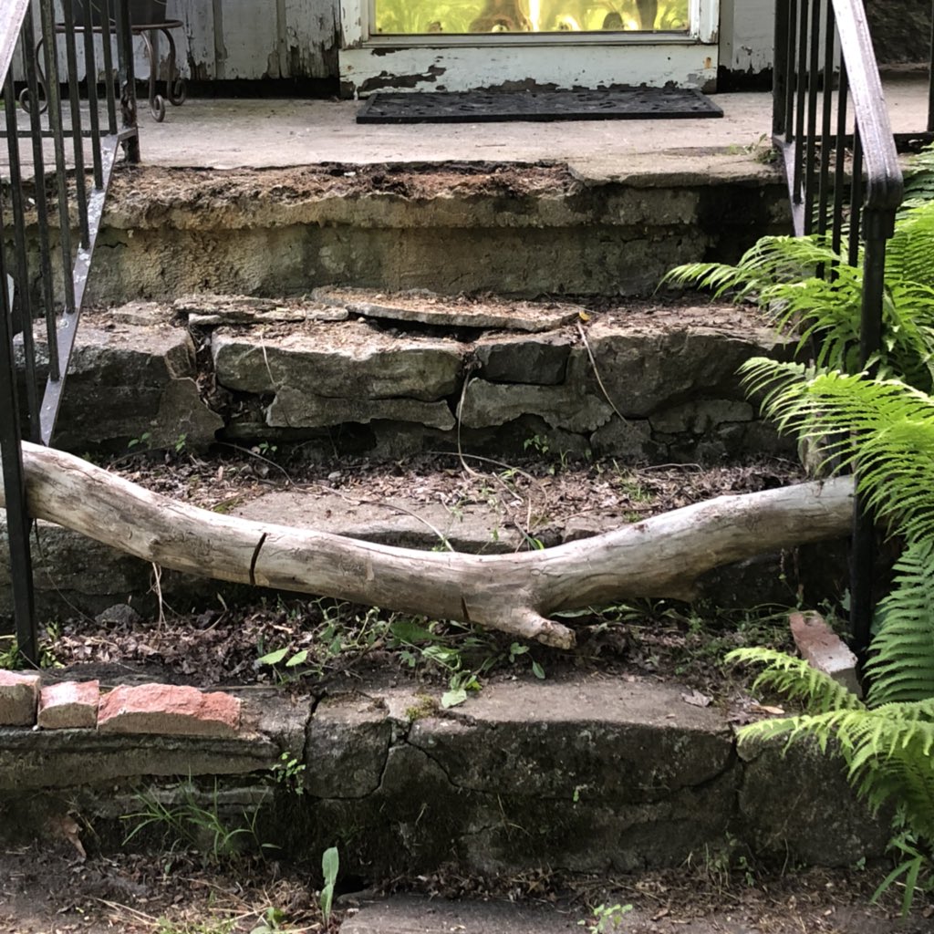 rorishapiro1's tweet photo. The steps and porch of death at my house. I guess this is what happens to concrete and brick around 70 years old. Who wants to fix it...for cookies?! #crumbling #concrete #oldbricks #ironrailings #entrope #oldhouse https://t.co/O1fPKD2Twb