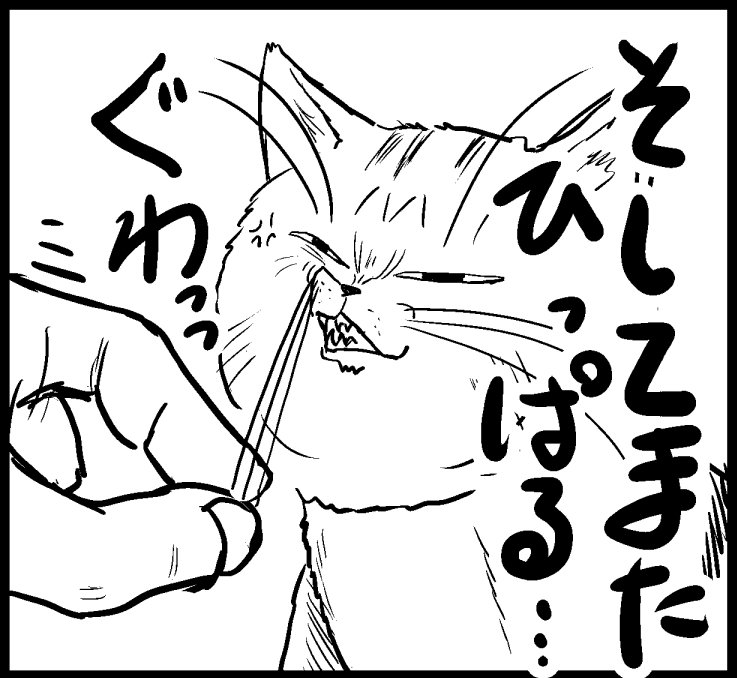 猫マンガ 