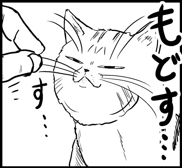 猫マンガ 