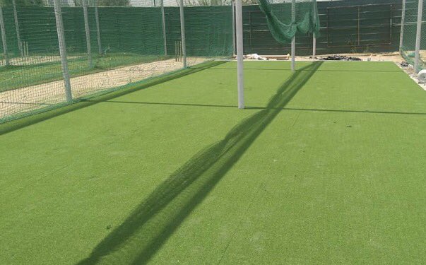 Games Forest tweet media