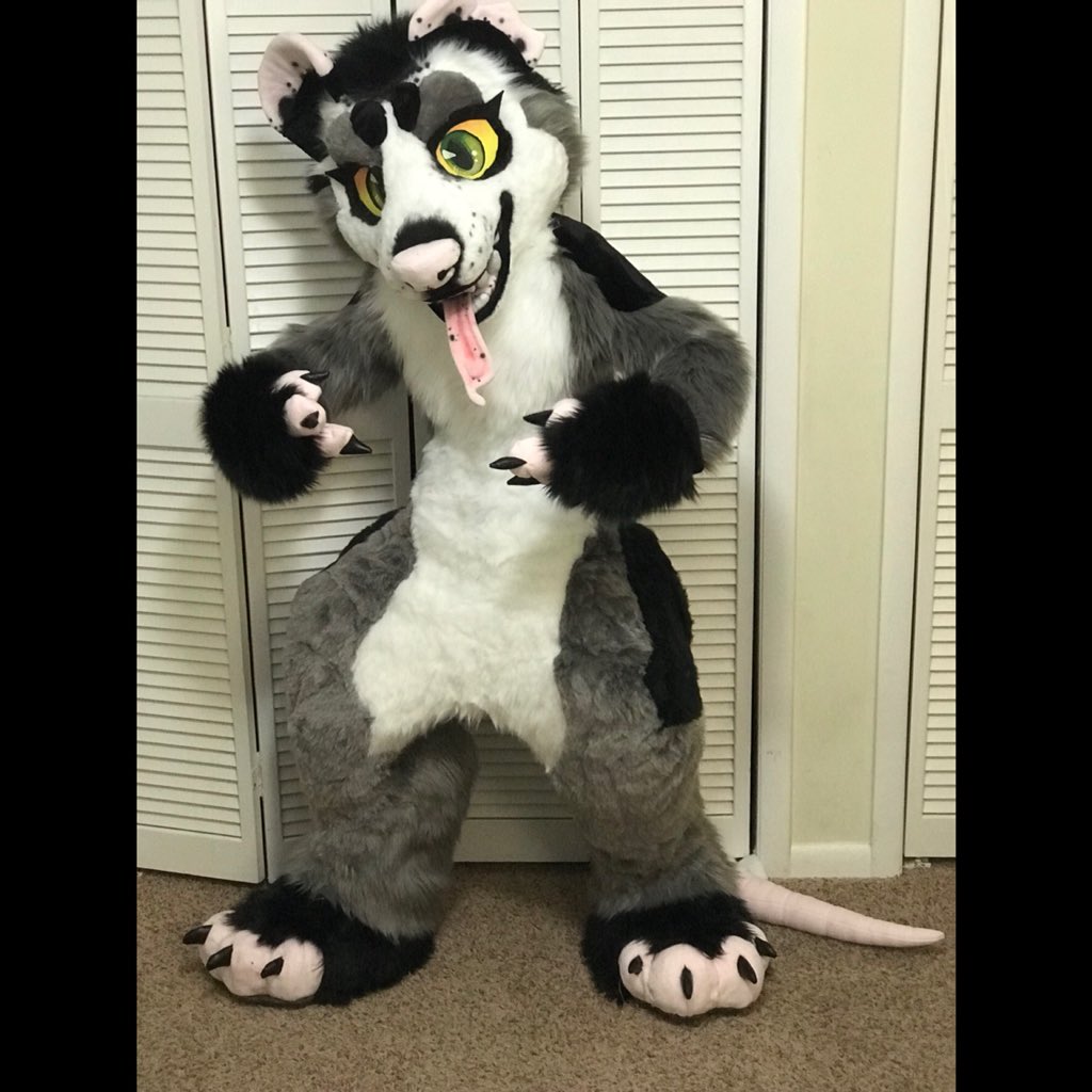 Smol_Works's tweet photo. In other news, finished my personal suit this week! Gotta love them trash rats #opossum #fursuit #fursuitmaker #furry #fursona #trashrat https://t.co/Lsu70o1QGR
