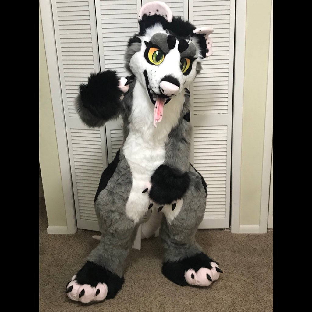 Smol_Works's tweet photo. In other news, finished my personal suit this week! Gotta love them trash rats #opossum #fursuit #fursuitmaker #furry #fursona #trashrat https://t.co/Lsu70o1QGR