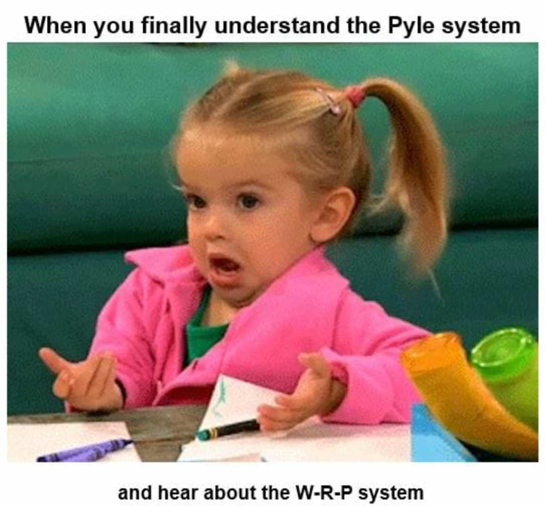 JaredDWolfe's tweet photo. Mixed feelings when your work is the subject of a meme #WRP #cyclesystem #WolfeRyderPyle #birdbanding #molt 🤔🤔🙄🙄 https://t.co/IUwZqFiDsY