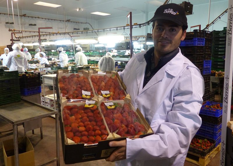 agrodiariohuelva.es tweet media