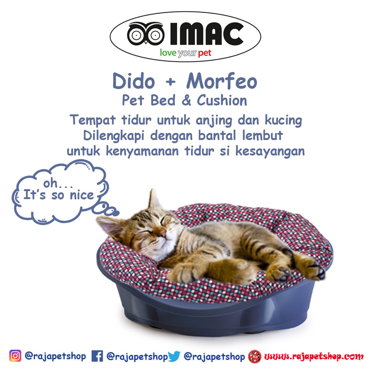 Rajapetshop Official Pa Twitter Tempat Tidur Buat Anabul