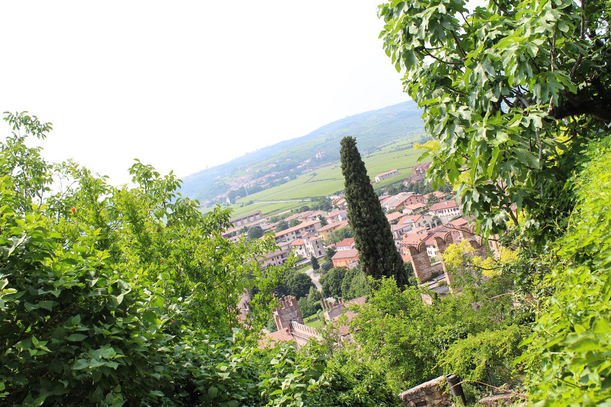 • From the top of Soave • Delle due strade possibili per arrivare al #castelloScaligero di #Soave, noi abbiamo scelto quella pedonale.. Durante la salita era impossibile non fermarsi a fotografare ogni due per tre i meravigliosi #panorami! 🇮🇹 #ioviaggiocosiblog