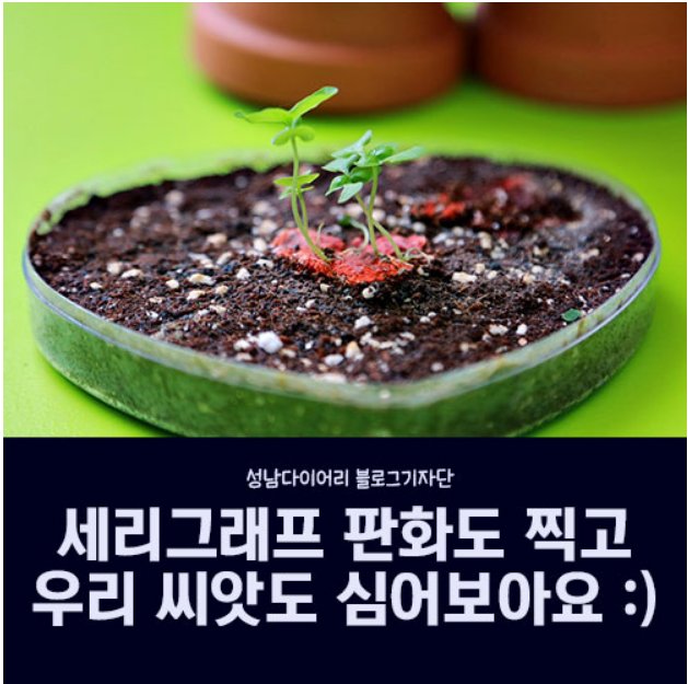 #성남시
#판교환경생태합습원
#생명의씨앗_우리종자_축제

seongnamdiary.com/221287704755