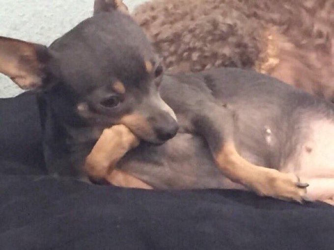 Im unappreciated. https://t.co/srLtI0gLDN