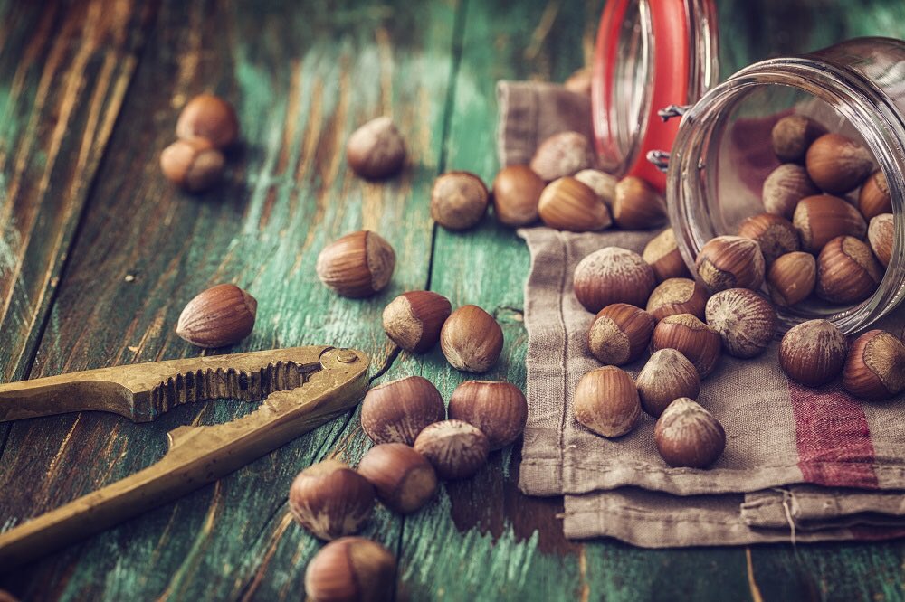 NextGenFruit's tweet photo. Over the years Frank Matthews have supplied many nut trees to the UK fruit industry #proudtosponsortheunder40s #under40s #under40sfruitgrowers #fruittrees #plantmoretrees #frankpmatthews #fpm #britishgrownfruit #nuts #cobnuts #walnuts #filberts #hazels  #UKgrowing https://t.co/bgj8T397FK