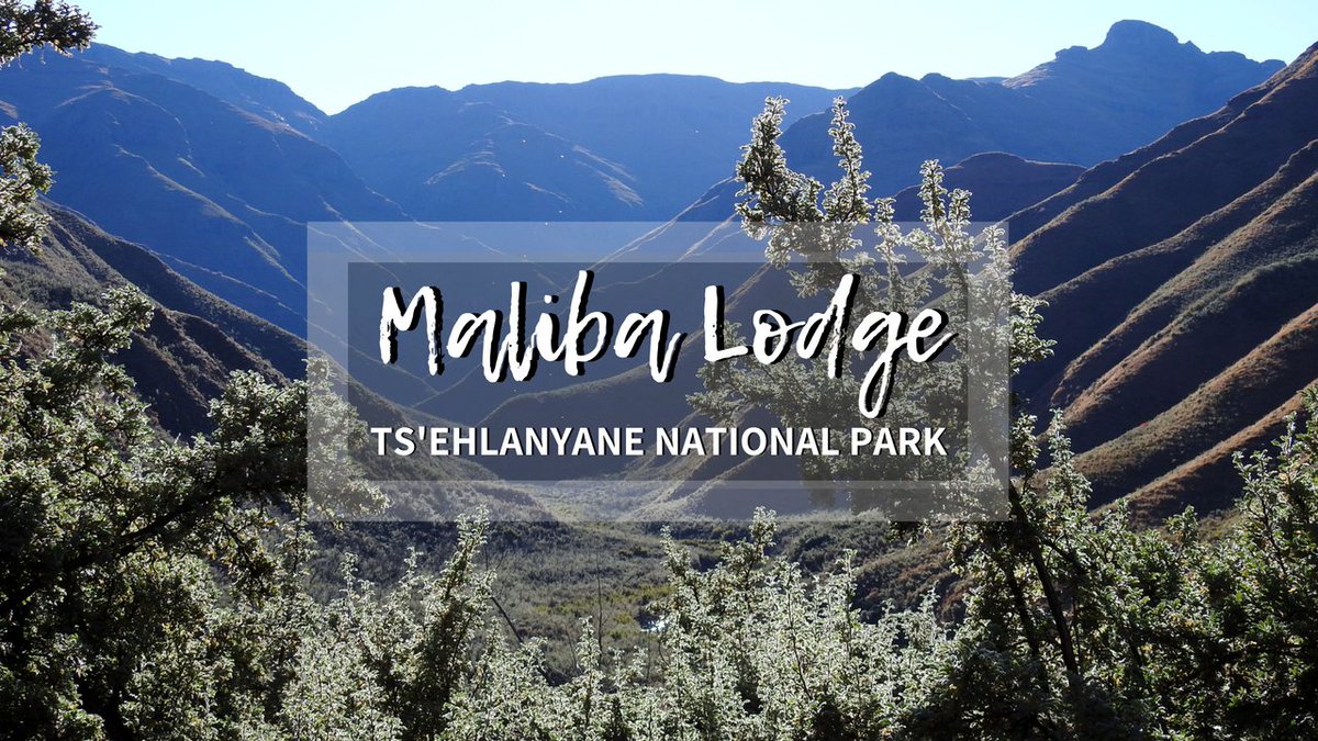 GoSomewhereSlow's tweet photo. I ended my Lesotho road trip at @MalibaLodge in Ts'ehlanyane National Park; surrounded by nature, peace and quiet, with birdsong as a gentle morning alarm. 
Can you believe this place is only 380 km from Joburg?
Watch the video > https://t.co/jUenwng7Yk https://t.co/bLGJt1Y8O1